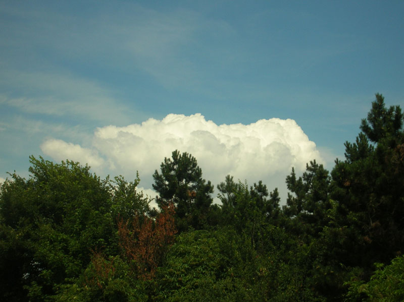 DSCN4678