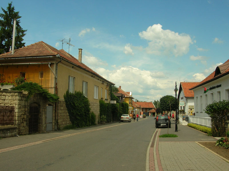 DSCN4688