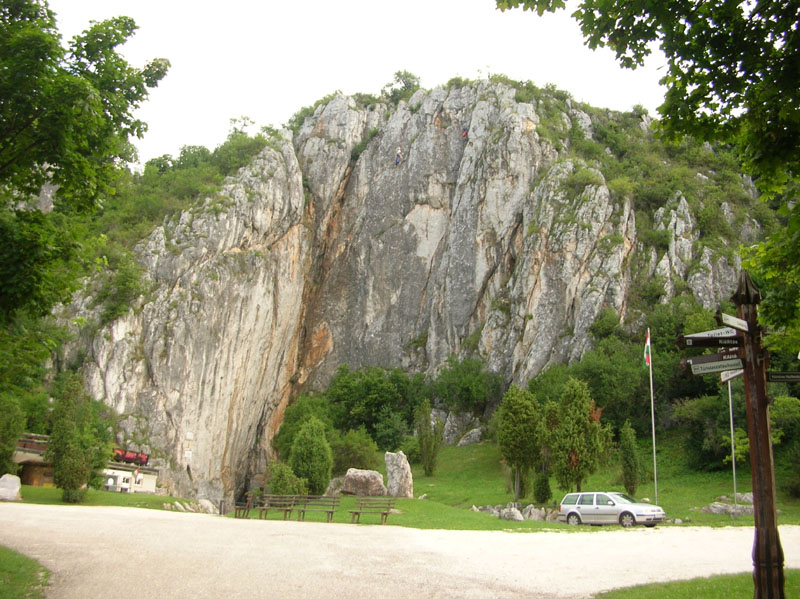 DSCN4735