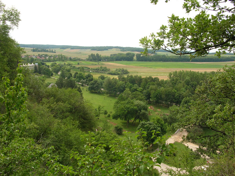 DSCN4740