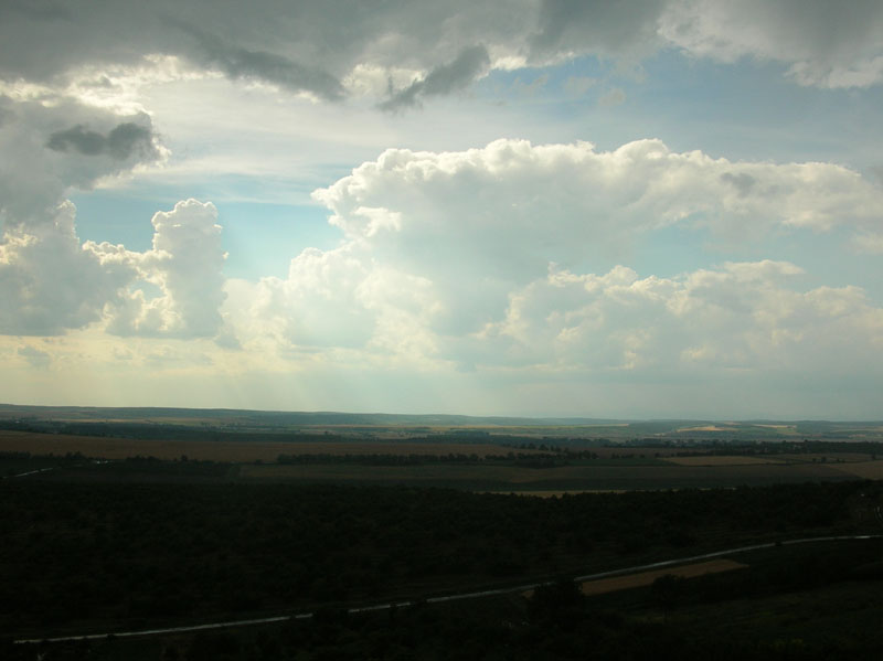 DSCN4872