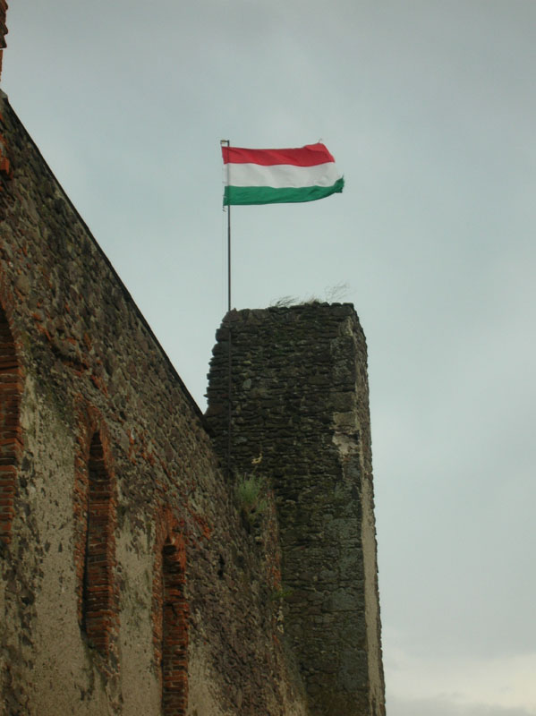 DSCN4880