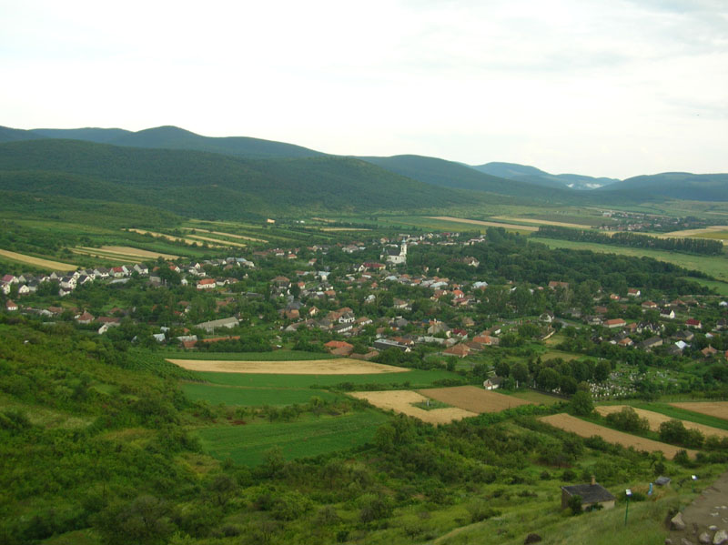 DSCN4896