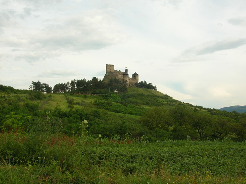 DSCN4924