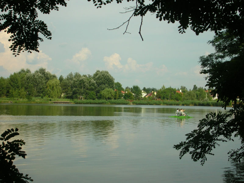 DSCN5023