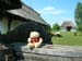 DSCN3586