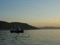 img_1771 