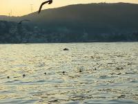 img_1776 