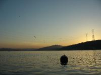 img_1779 