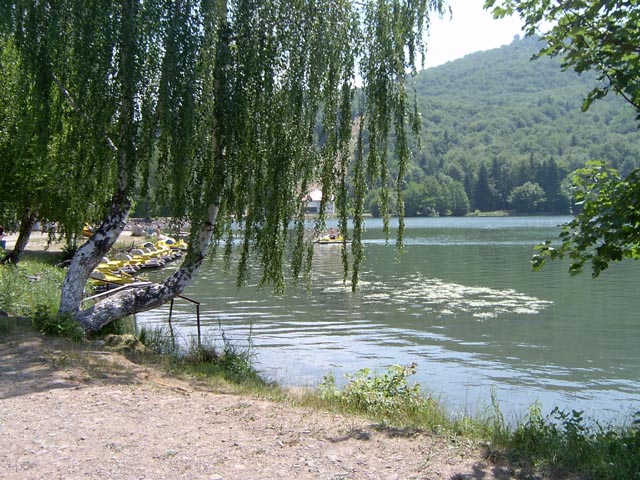 kakas08