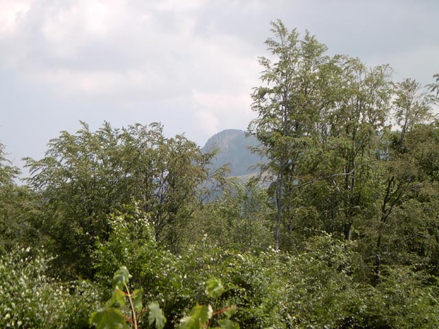 kakas09
