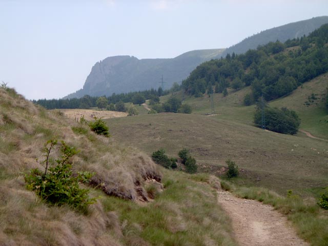 kakas14