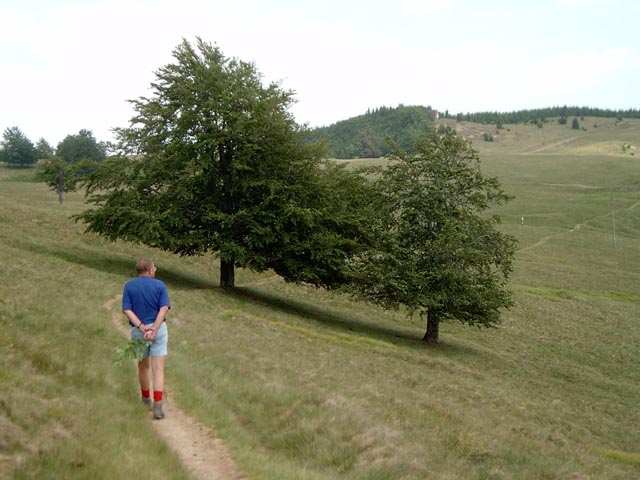 kakas15