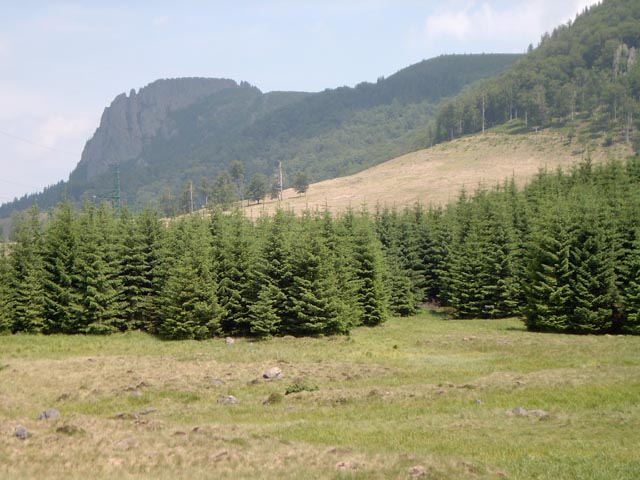 kakas20