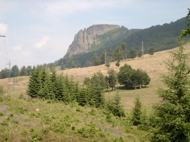 kakas24
