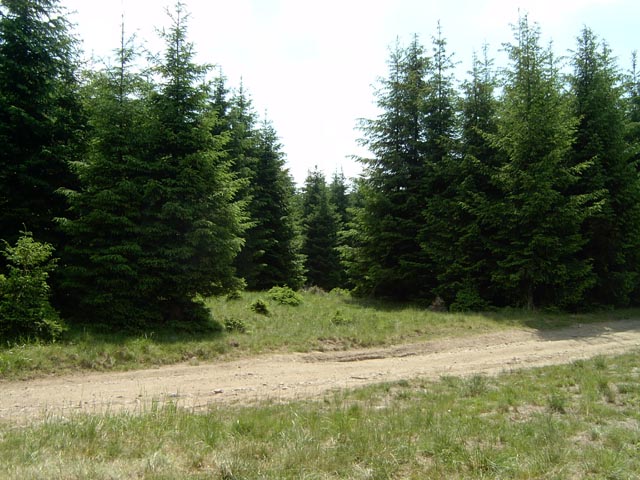 kakas25