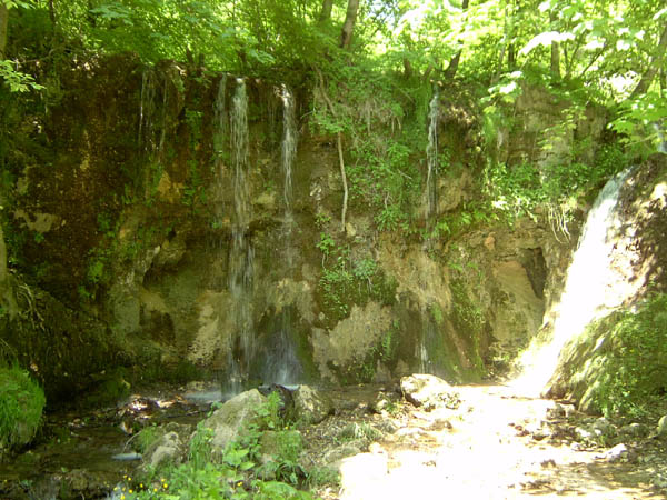 szadelo01