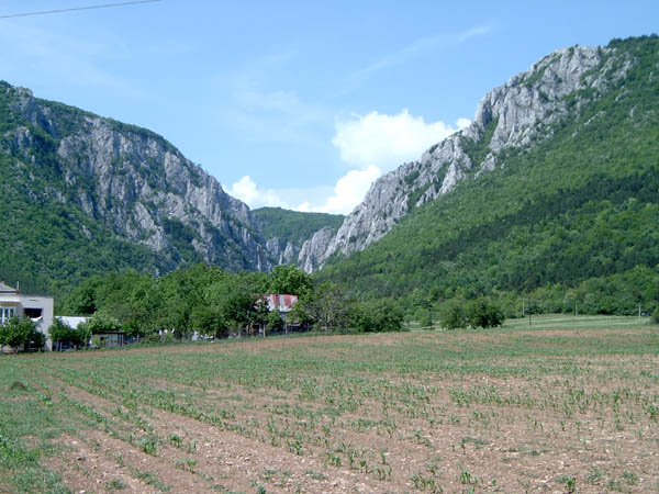 szadelo10