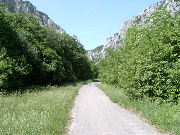 szadelo11