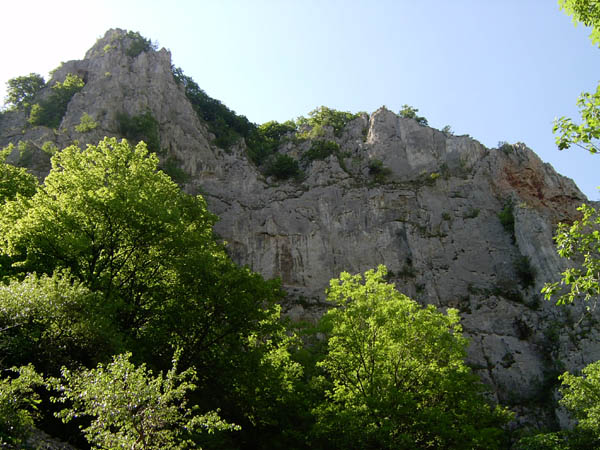 szadelo23