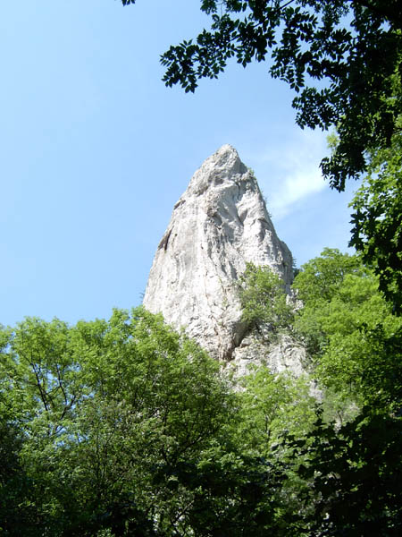 szadelo25