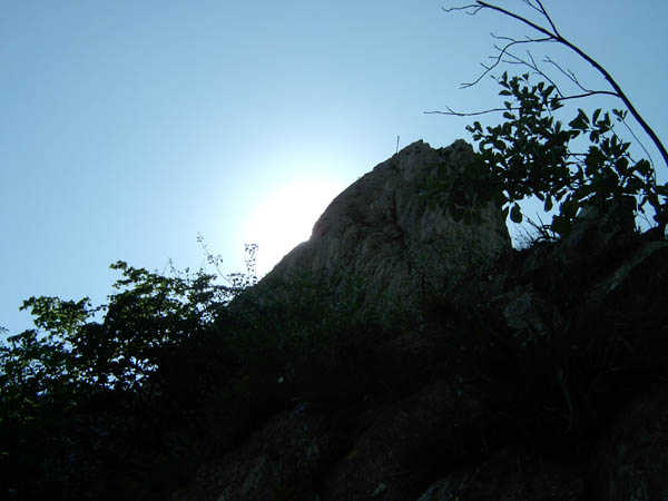 szadelo28
