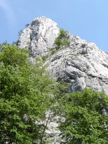 szadelo29