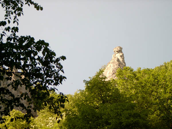 szadelo31