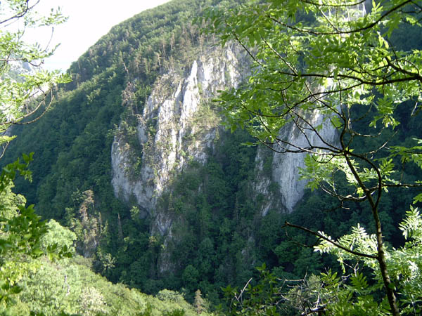 szadelo35