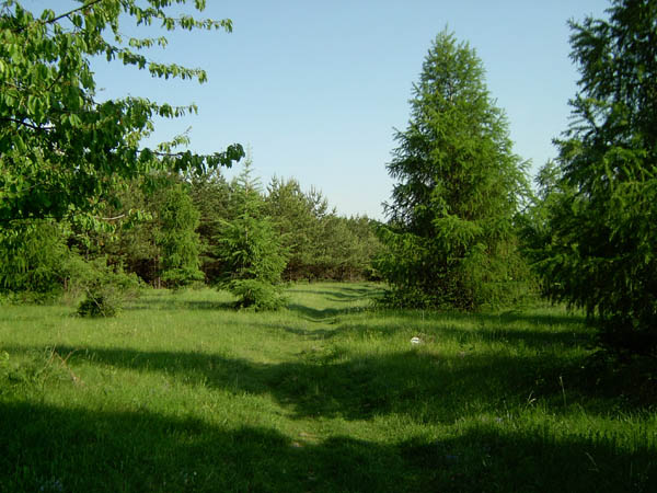 szadelo50