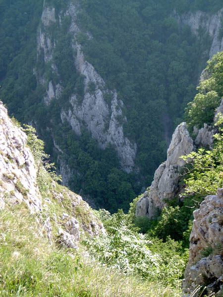 szadelo56