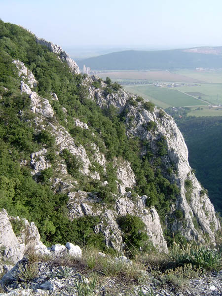 szadelo57