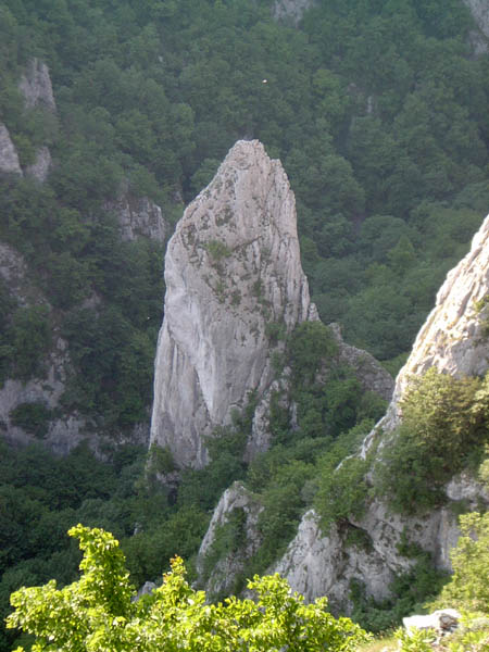 szadelo58