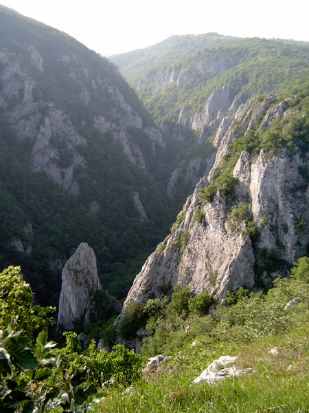 szadelo59
