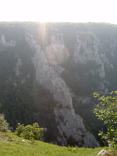 szadelo61