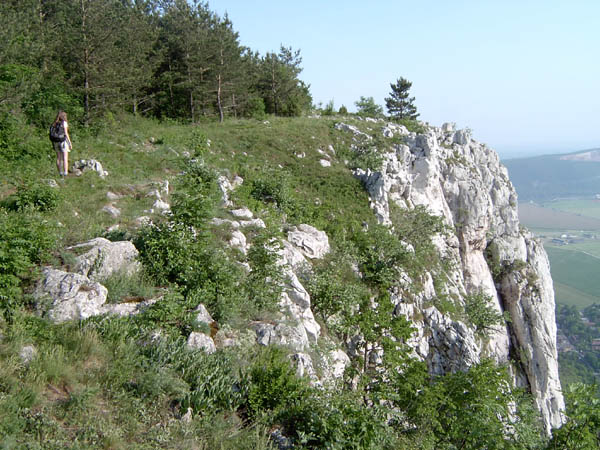 szadelo65