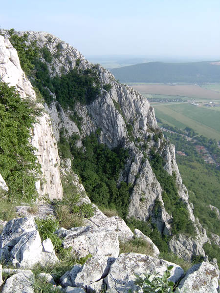 szadelo67