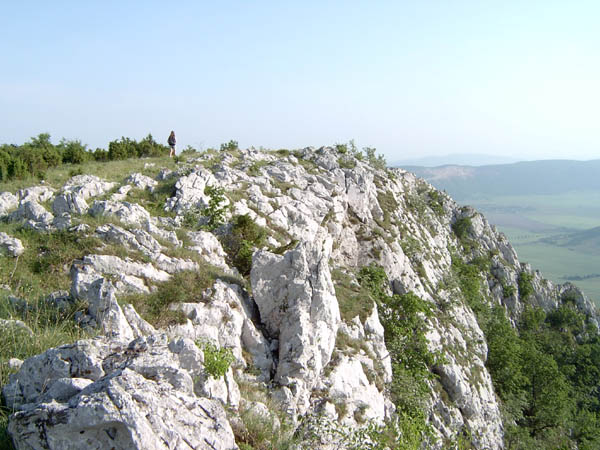 szadelo68