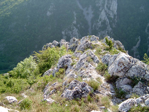 szadelo70