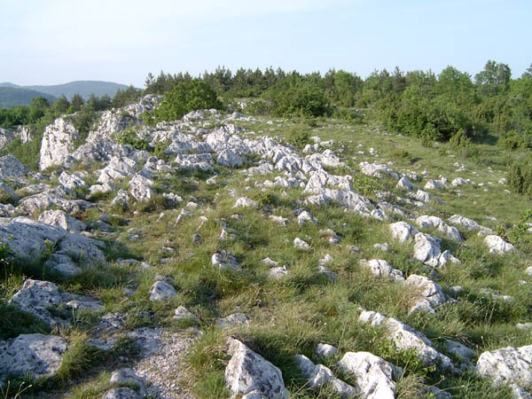 szadelo71