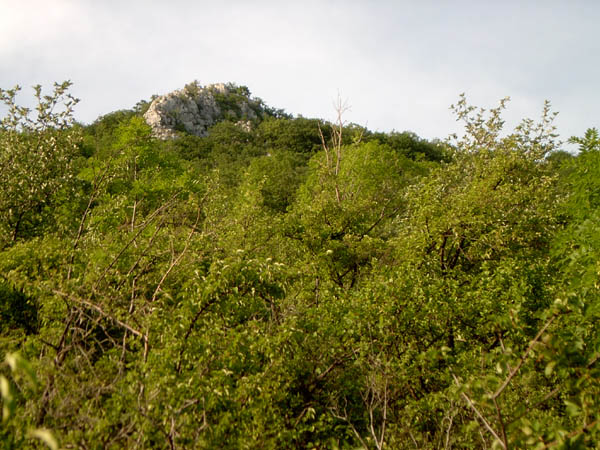 szadelo73