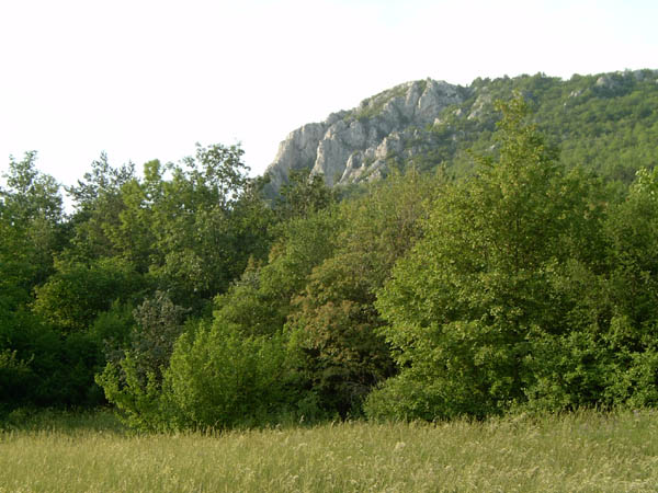 szadelo75