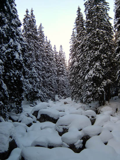 Tarpatak