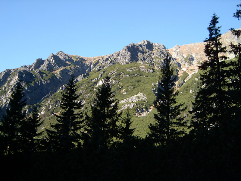 tatra32