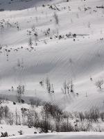 img_3118 