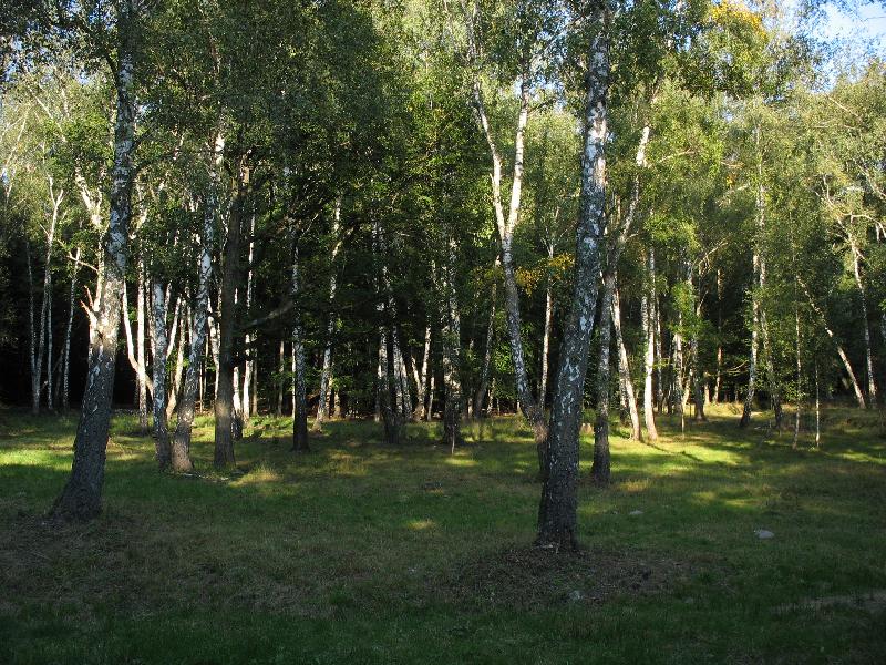 10 Istvn-kti tiszts (Glade)