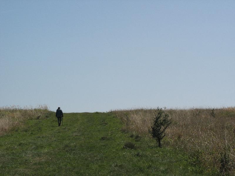 26 Magny (Loneliness)