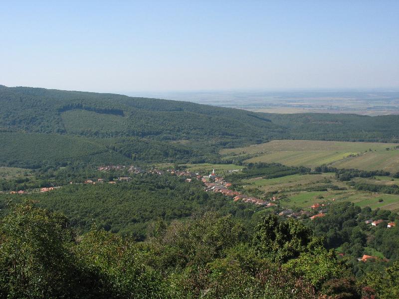 36 Mogyorska