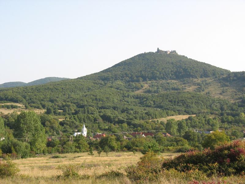43 Ltkp (View)