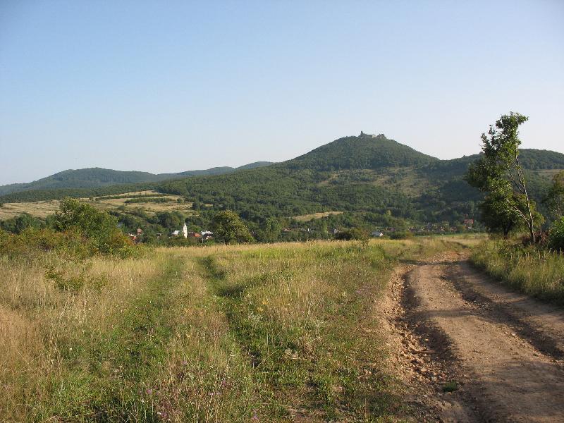 44 Ltkp (View)